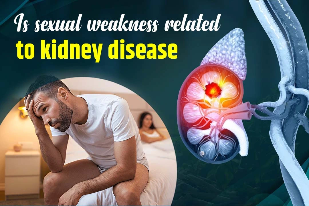 Is Sexual Weakness Linked to Kidney Problems? Ayurvedic View